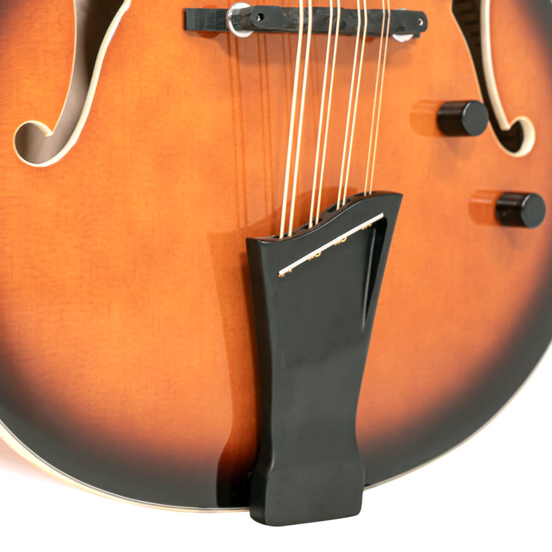 Mandocello: Mandocello with Pickup and Case