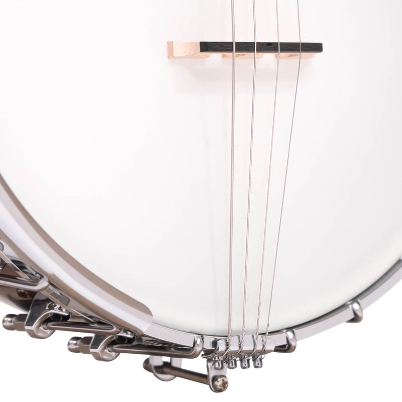Gold Tone IT-250: Irish Tenor Banjo with Case
