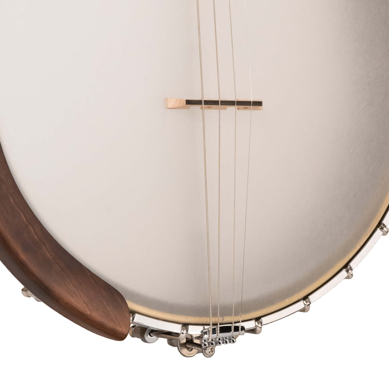 Gold Tone  IT-19: Irish Tenor Banjo with 19 Frets and Gig Bag