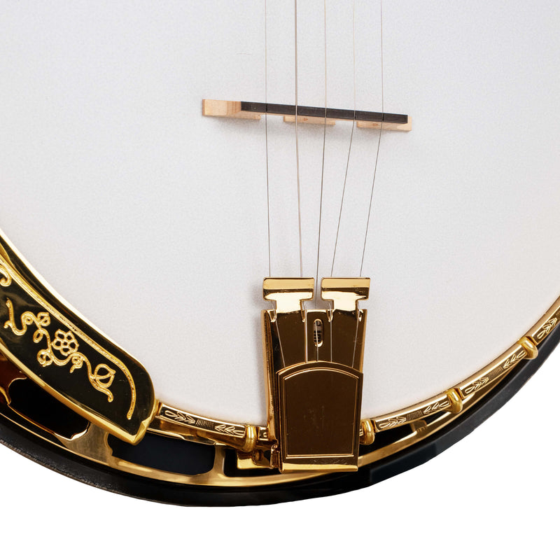 Gold Tone Mastertone™ OB-300: Orange Blossom Banjo "The Gold-Plated Beauty" with Case
