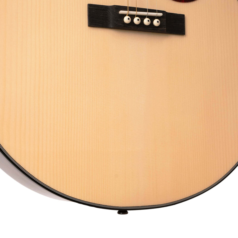 Gold Tone TG-10: Tenor Guitar with Gig Bag