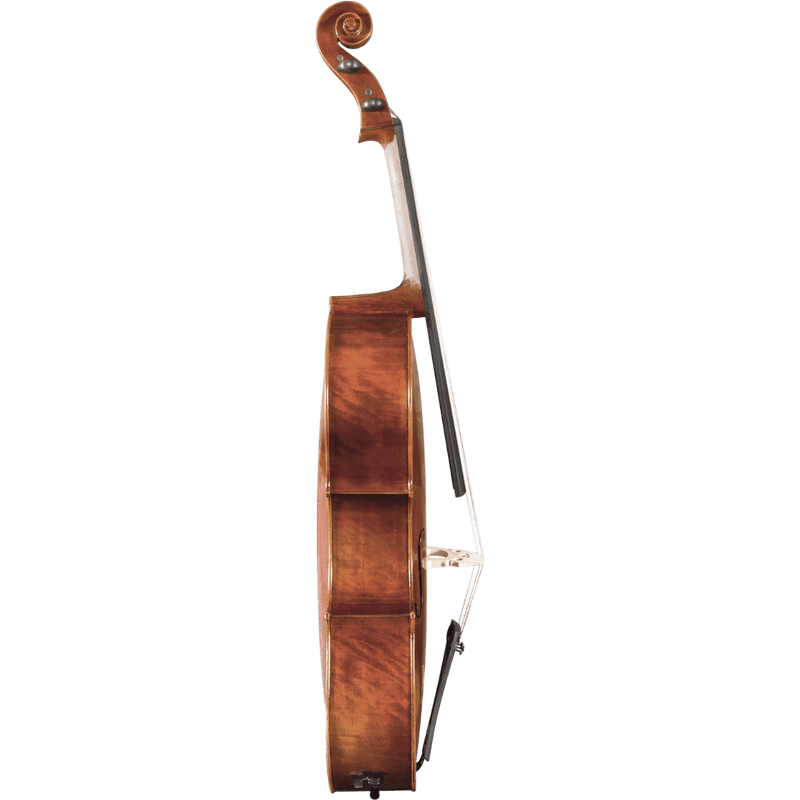Maple Leaf Strings Chaconne Intermediate Cello with Case