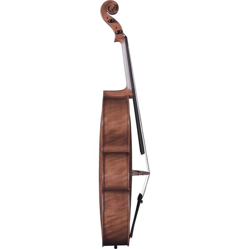 Maple Leaf Strings Mls130 Intermediate Cello Outfit with Bow and Case