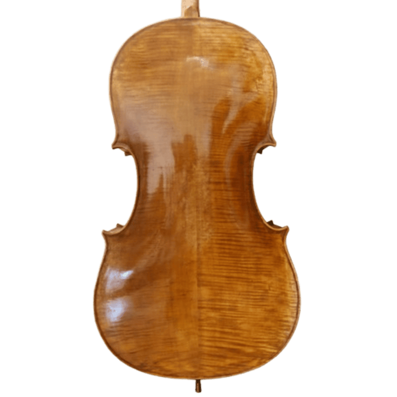 Stefan Petrov Standard Cello