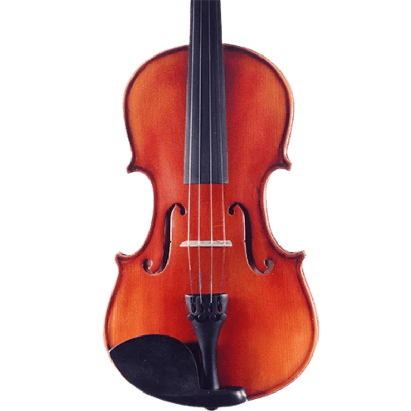 Ametto CV100 Violin Outfit