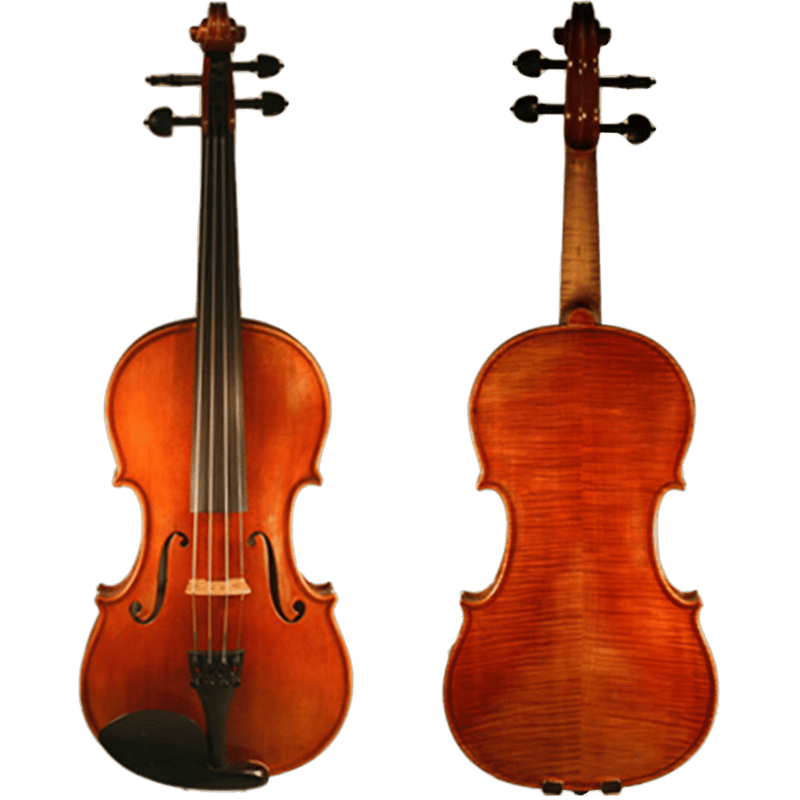Ricardo Galaini Violin