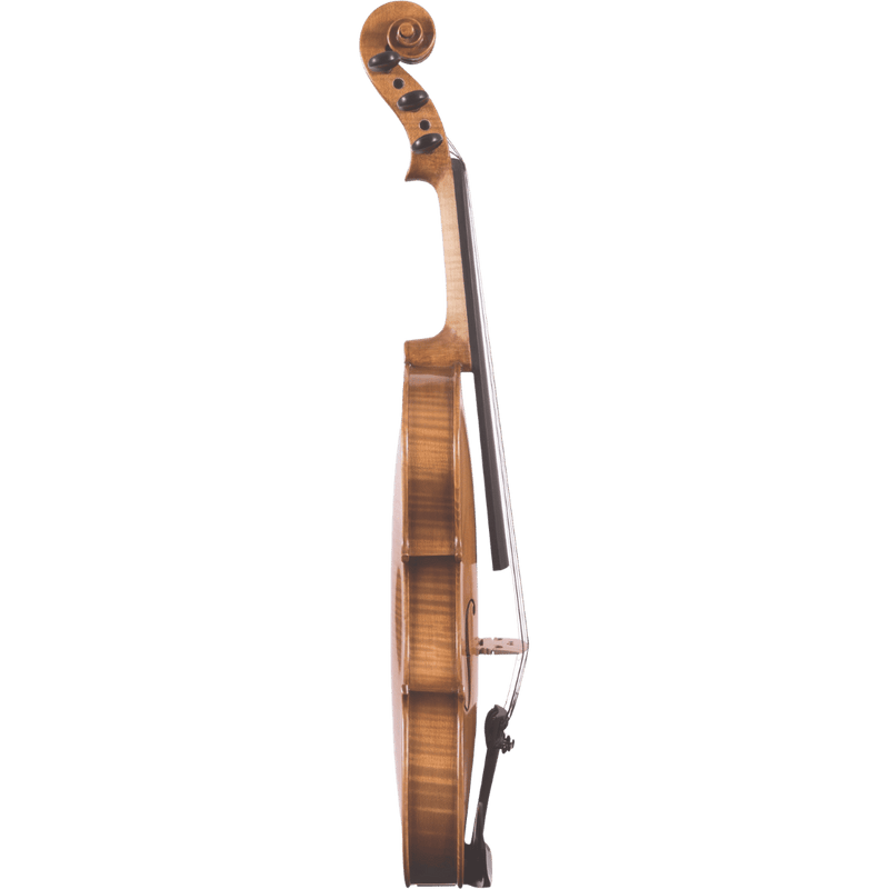 Maple Leaf Strings Mls130-5 Beginner Violin Outfit with Bow and Case