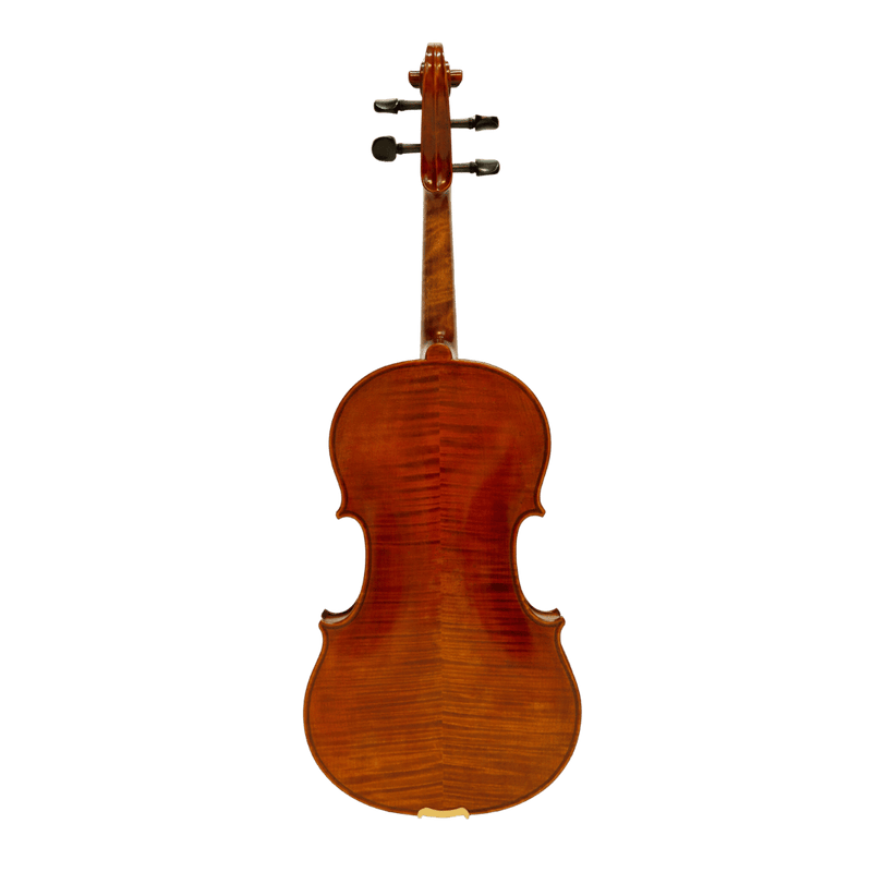Nicolo Marcasi Viola