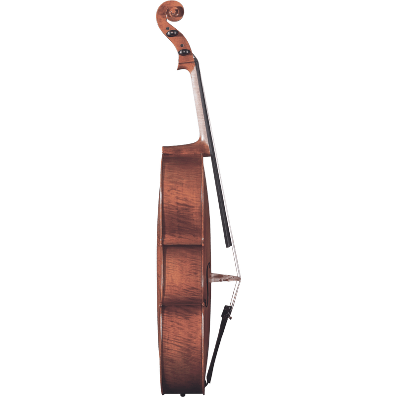 Maple Leaf Strings Lady Claire professional Cello with Case