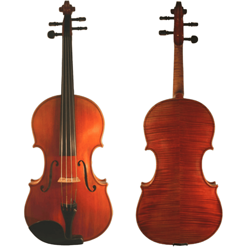 Ricardo Galaini Viola