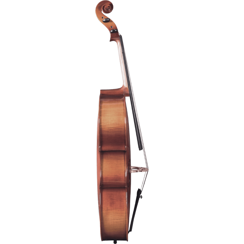 Maple Leaf Strings Mls120 Beginner Cello Outfit with Bow and Case