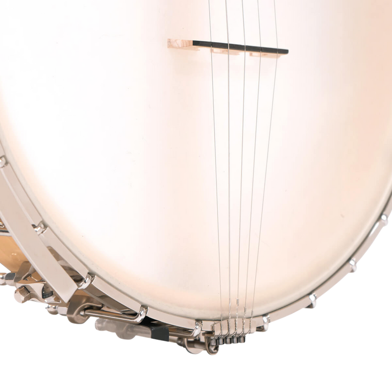 Gold Tone BC-350: Bob Carlin Banjo with Case