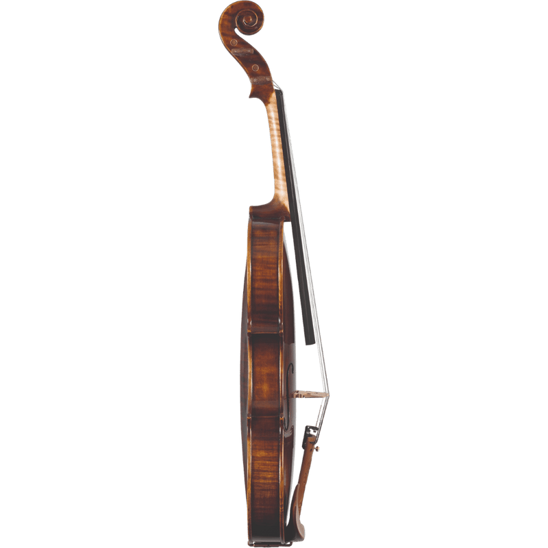 Maple Leaf Strings Chaconne Intermediate Violin with Case