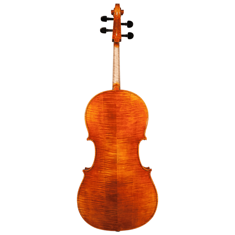 Nicolas Parola CP20N Cello