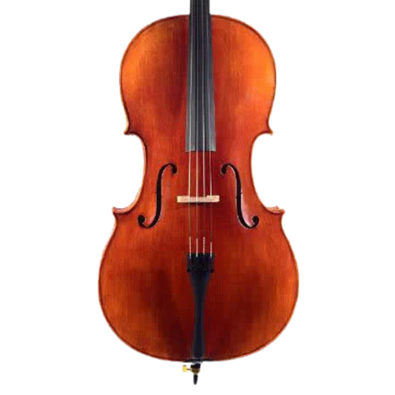 H. Luger C500 Cello Outfit