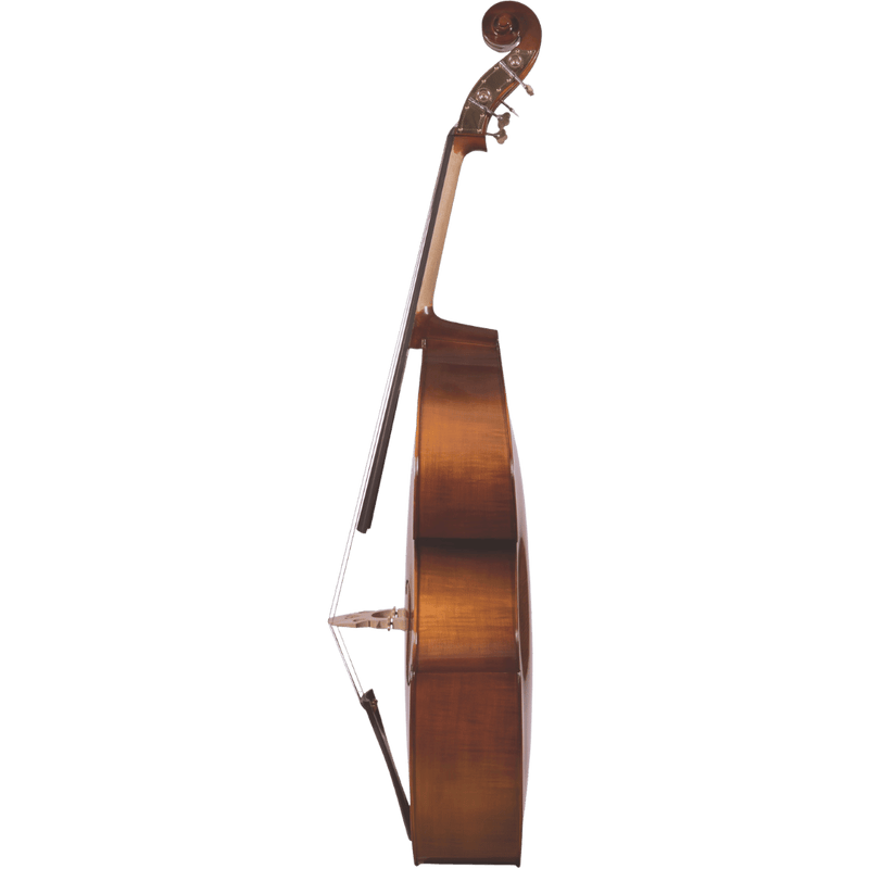Maple Leaf Strings Mls120 Beginner Bass Outfit with Bow and Case