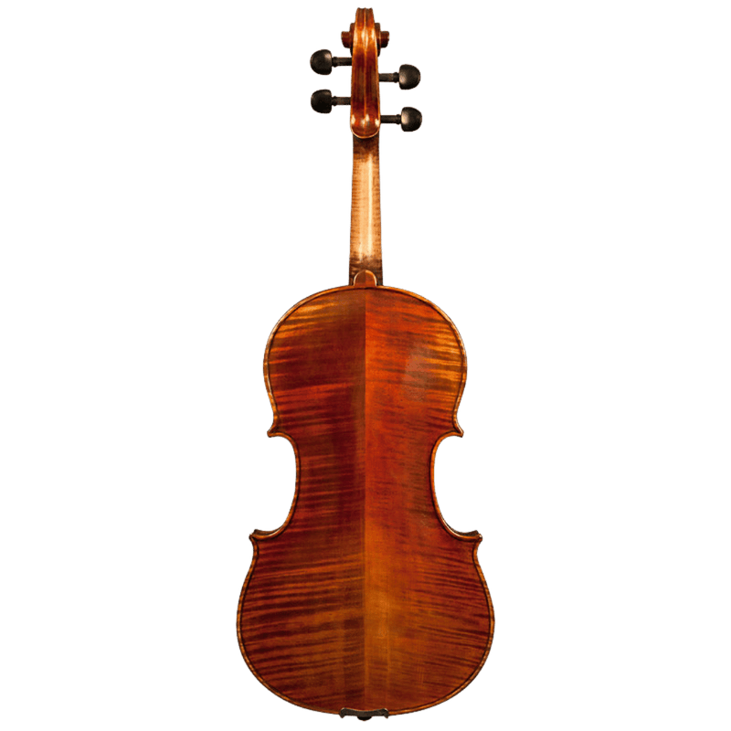 Nicolas Parola AP20N Viola