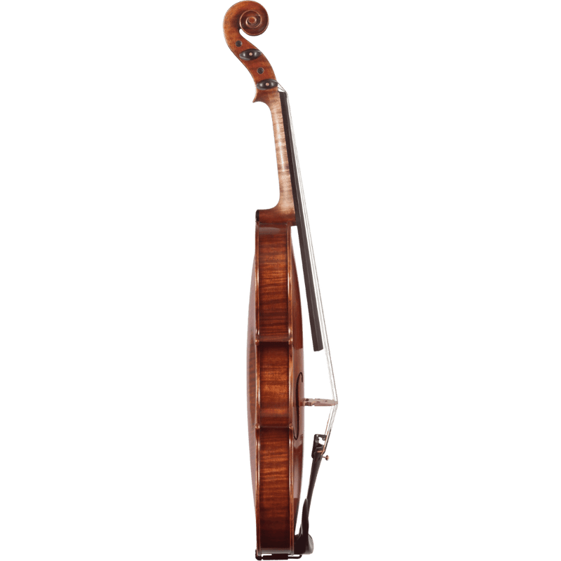 Maple Leaf Strings Master Linn Advanced Violin with Case