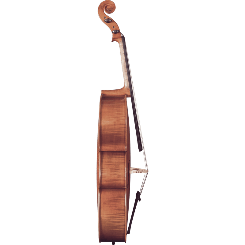 Maple Leaf Strings Mls140 Beginner Cello Outfit with Bow and Case