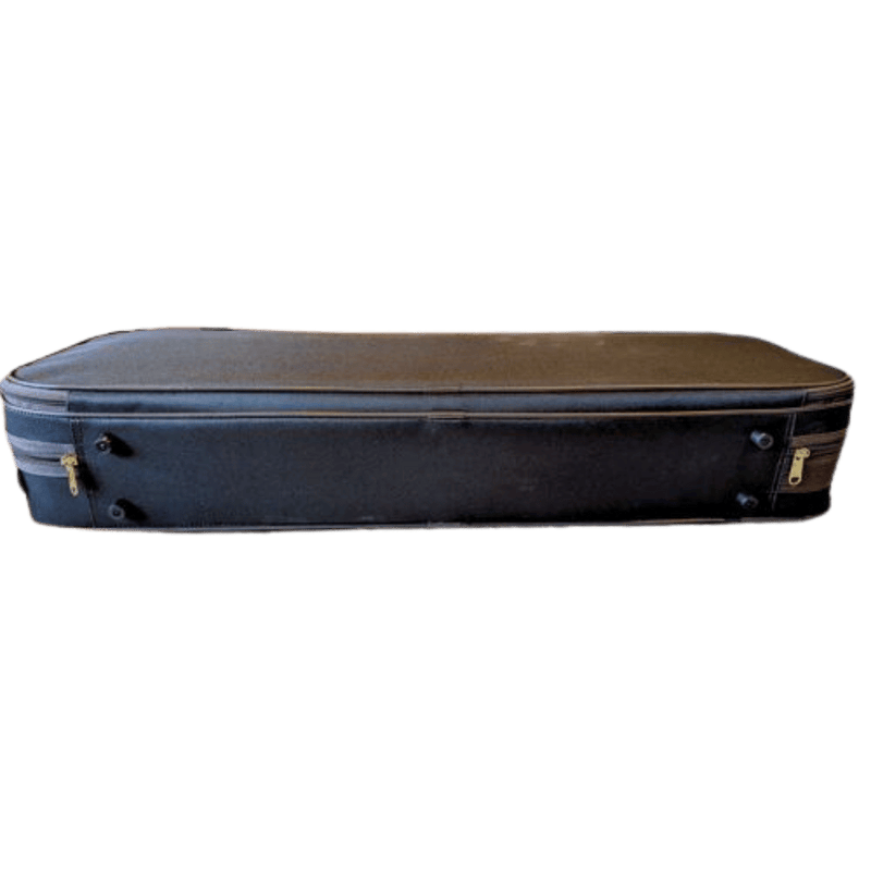 Scott Cao Oblong - Foam Violin Case