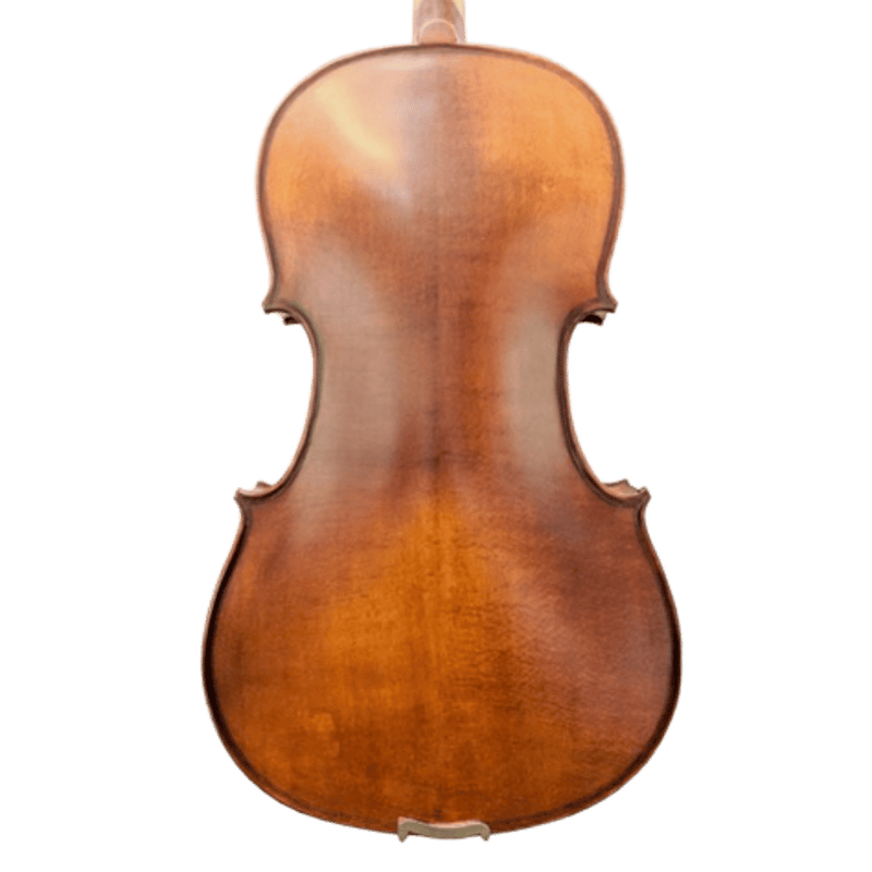 Ametto CA150 Viola Outfit