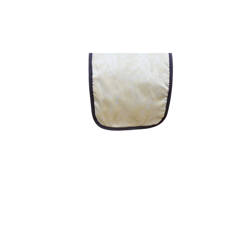 Silk-Lined Deluxe Lightweight Violin Case