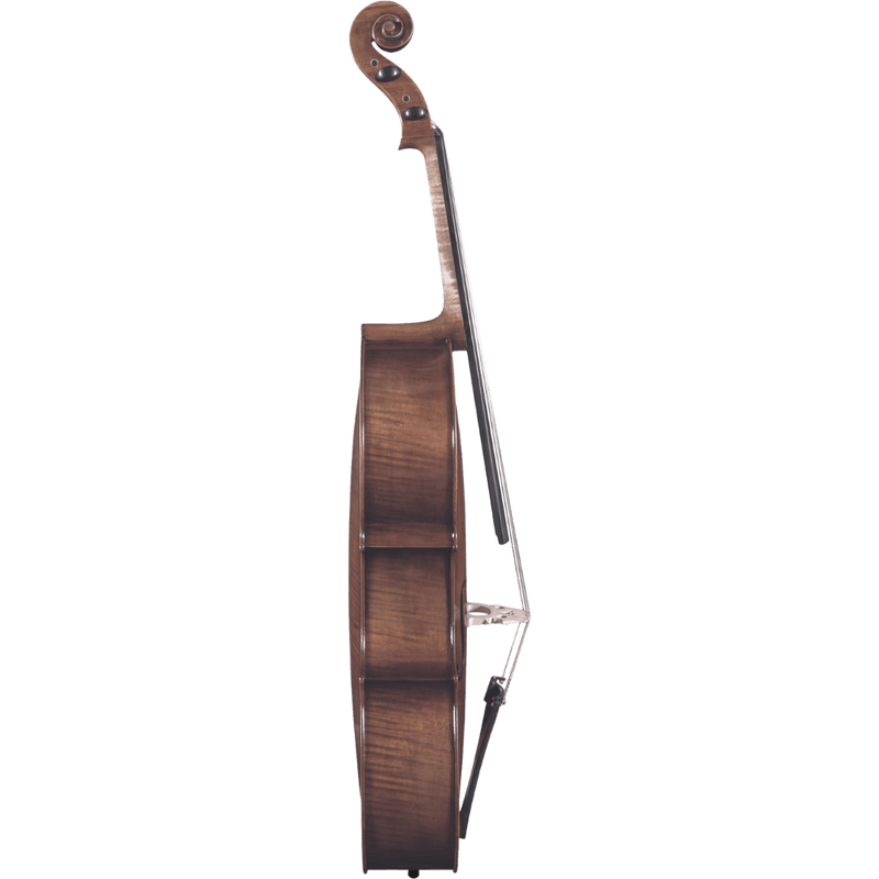 Maple Leaf Strings Noble Philip Cello Series with Case