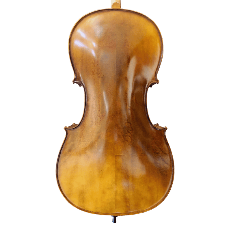 H. Luger CC100 Cello Outfit