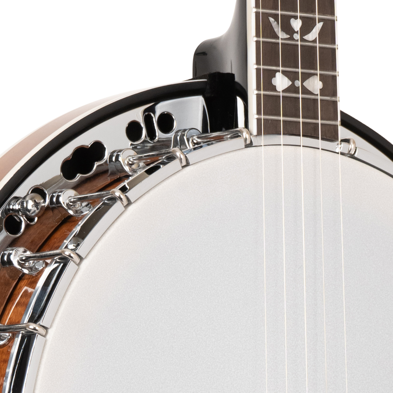 Gold Tone BG-150F: Bluegrass Banjo with Flange and Bag