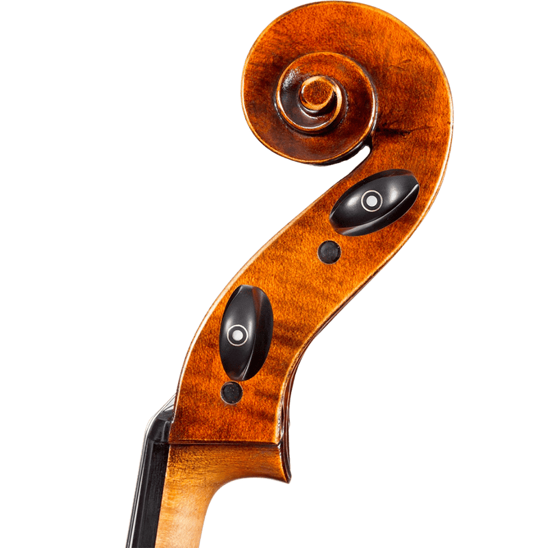 Franz Sandner FS500A Cello