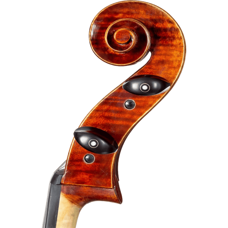 August F. Köhr K565C Cello