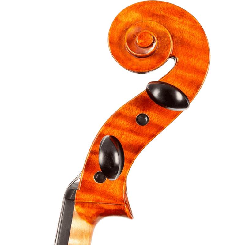 August F. Köhr HC600C Cello