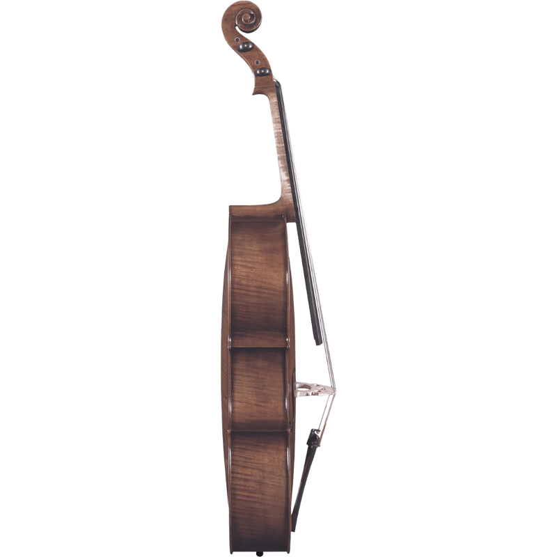 Maple Leaf Strings Noble Philip Cello Series with Case