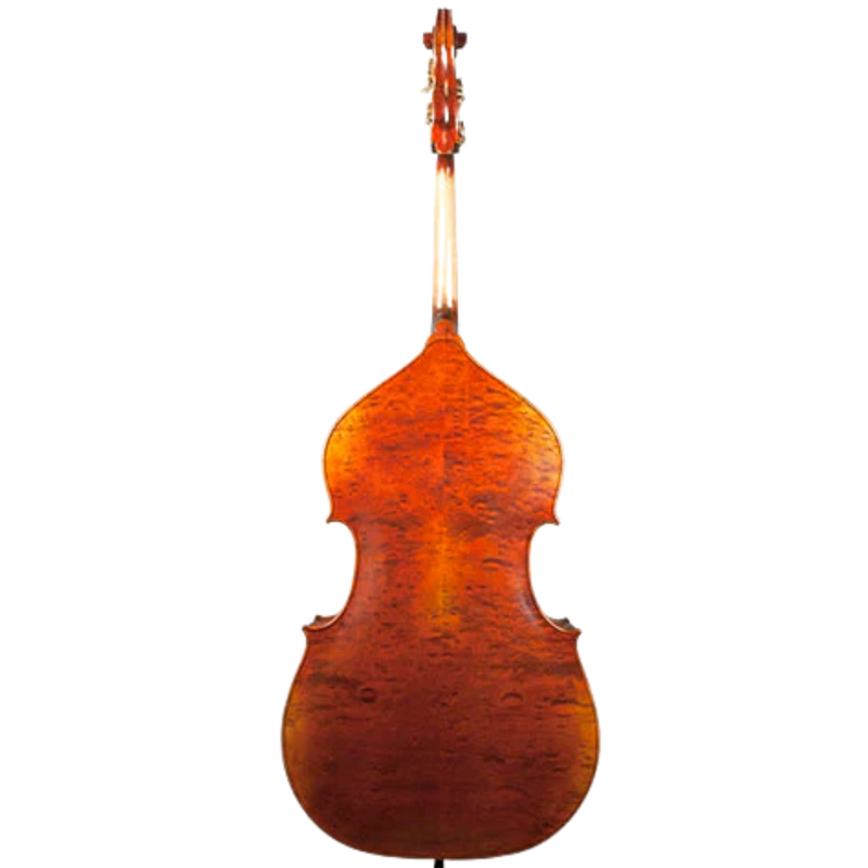Nicolas Parola VB15E Bass