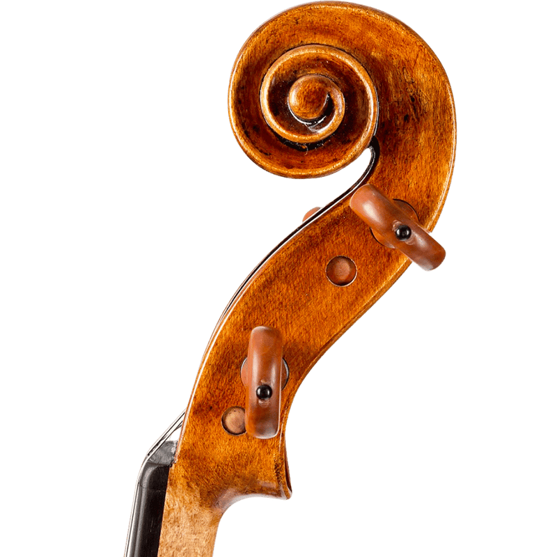 Howard Core Dragon DR10 Model Viola