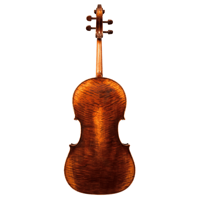 Nicolas Parola CP7 Cello