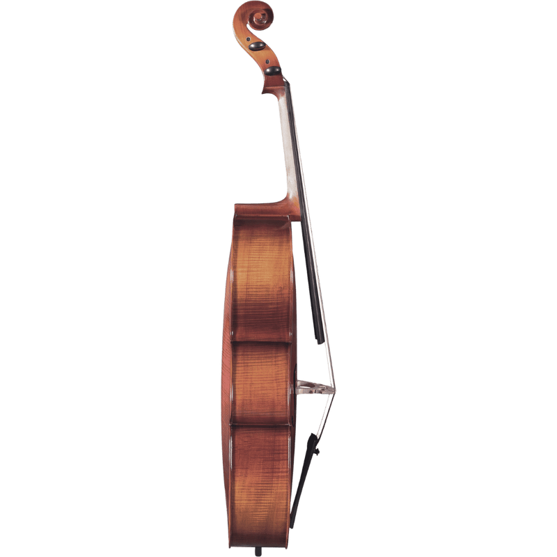 Maple Leaf Strings Mls110 Beginner Cello Outfit with Bow and Case