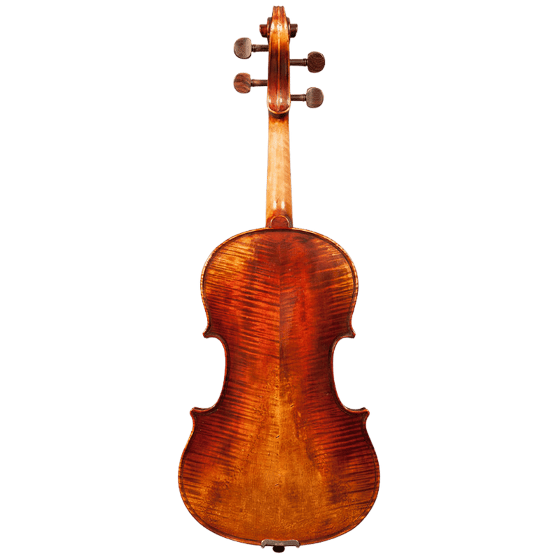 Nicolas Parola AP7 Viola