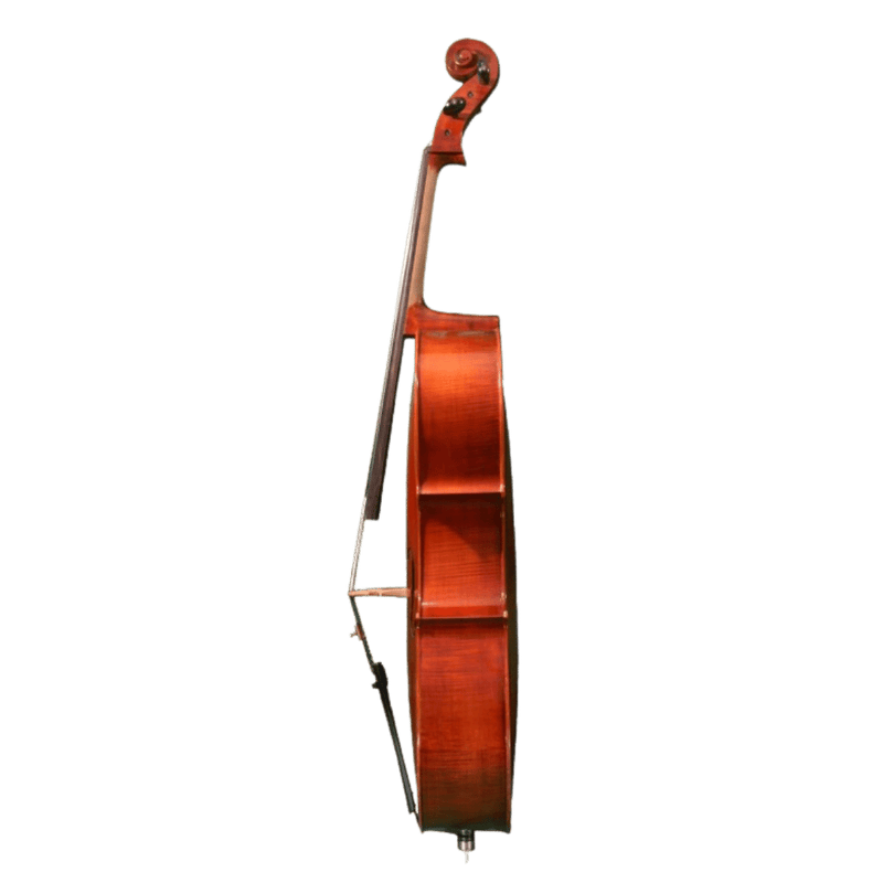 H. Luger C600 Cello Outfit