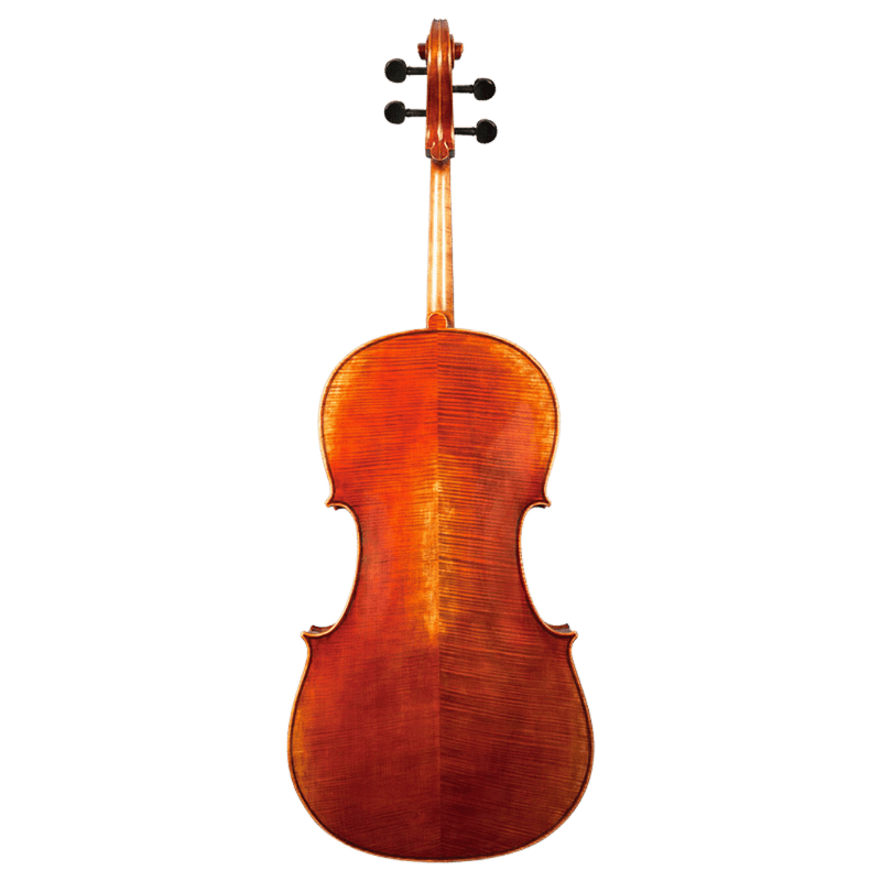 Nicolas Parola CP30E Cello