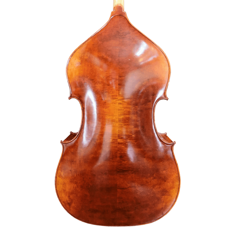 Nicolas Parola VB15E Bass