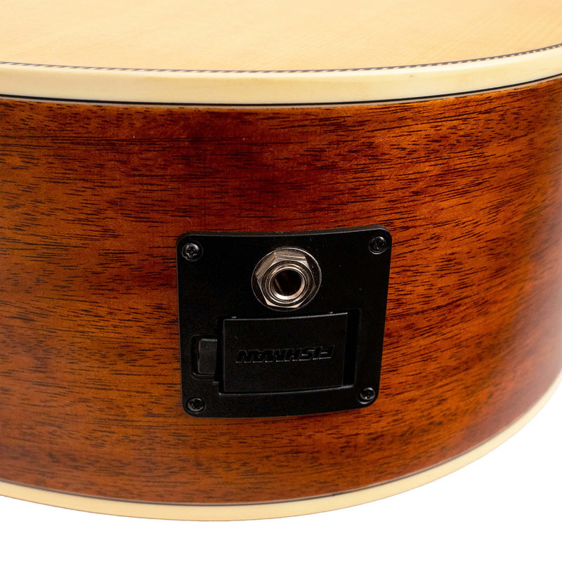 Gold Tone  The Dread: Acoustic-Electric All Solid Wood Guitar with Bag - Satin Natural