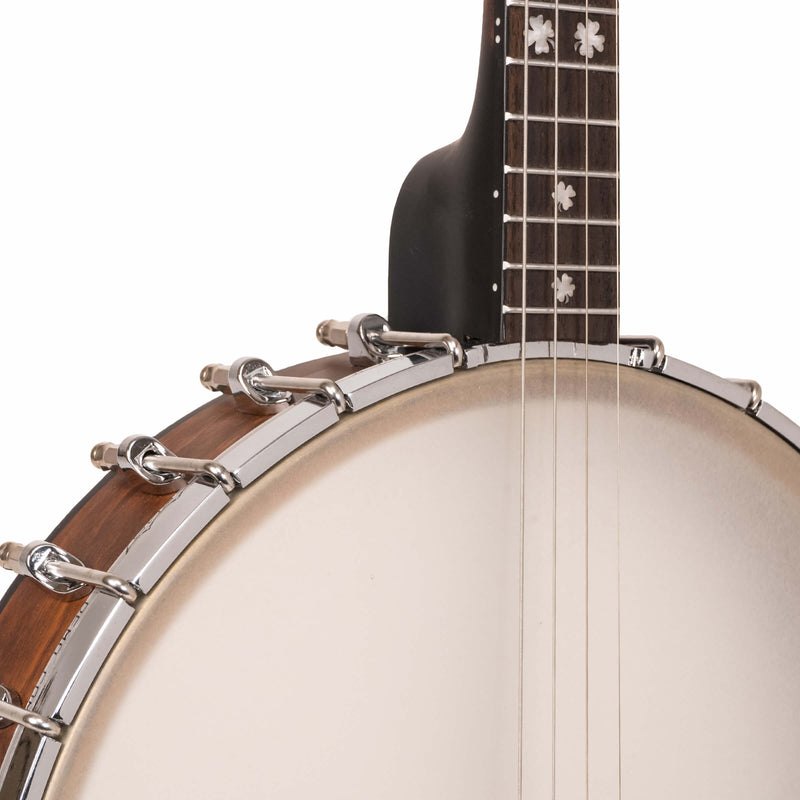 Gold Tone  IT-17: Irish Tenor Banjo with 17 Frets and Gig Bag