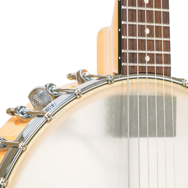Gold Tone  BT-1000: 6-String Banjitar with Pickup and Bag