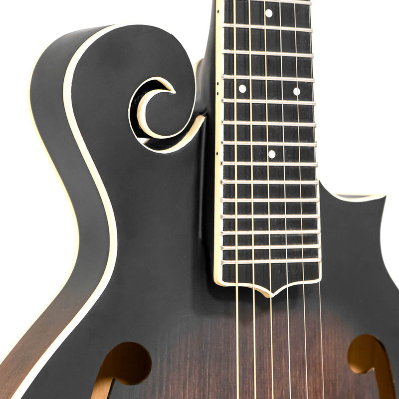 Gold Tone F-6: F-style Mando-Guitar with Pickup and Case
