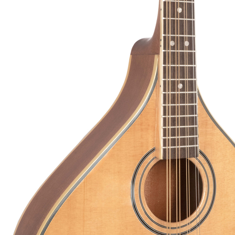 Gold Tone OM-800+: Octave Mandolin with Case