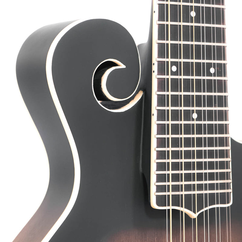 Gold Tone F-12: 12-string F-style Mando-Guitar with Pickup and Case