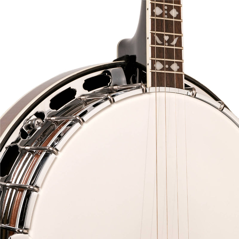 Gold Tone TS-250: Tenor Special Banjo with Case