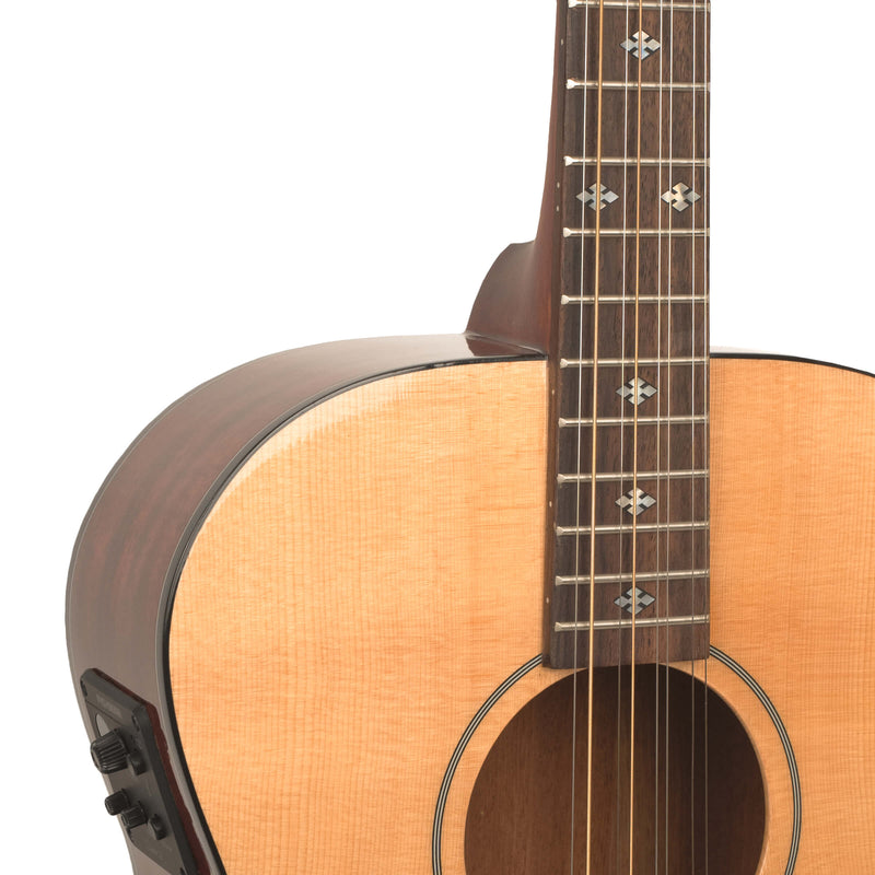 Gold Tone BZ-1000: Guitar-Bodied Bouzouki Mandolin with Case