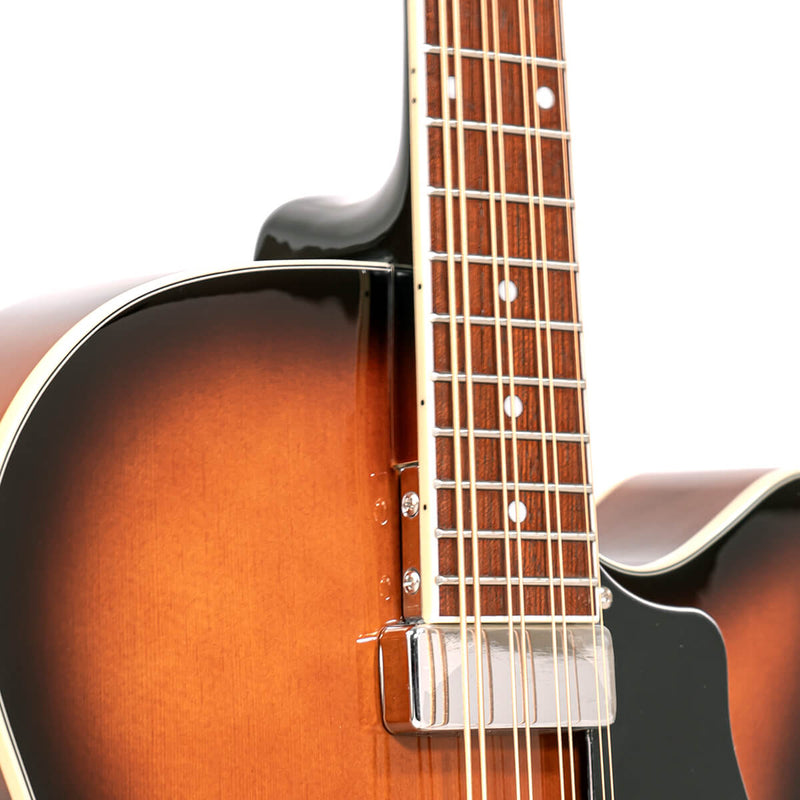 Mandocello: Mandocello with Pickup and Case